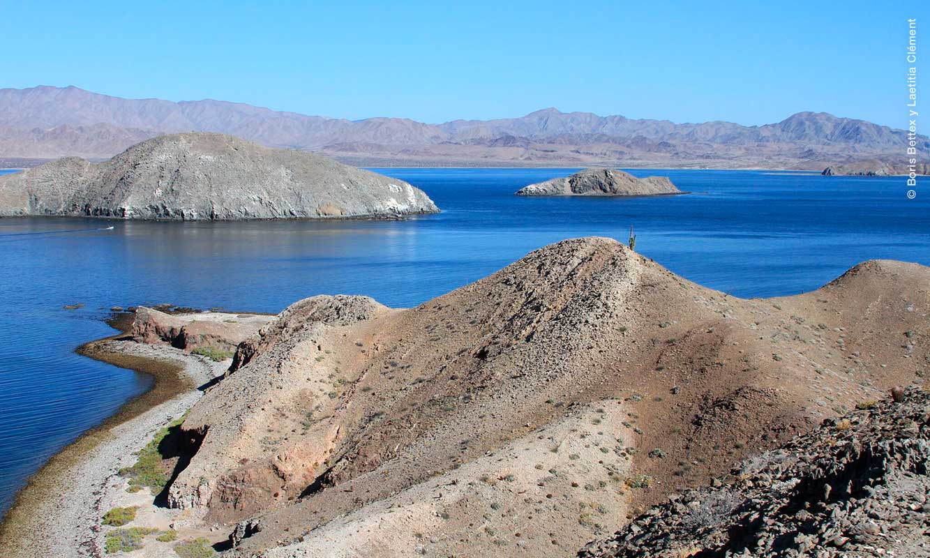 Bahia De Los Angeles